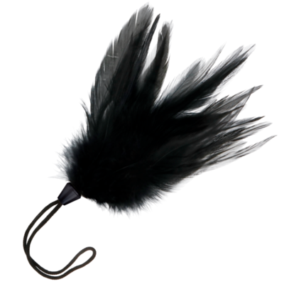 DARKNESS BLACK FEATHER 17CM 