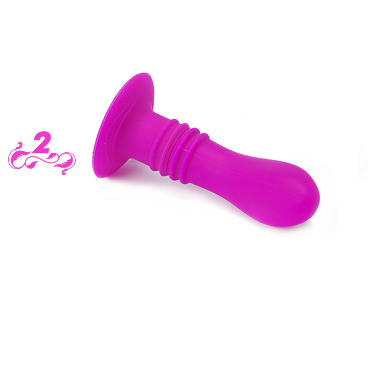 BOOTY PASSION VIBRATOR PLUG 10V  