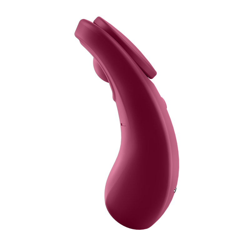 SATISFYER SEXY SECRET PANTY  