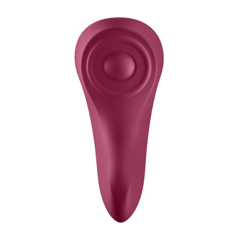 SATISFYER SEXY SECRET PANTY  