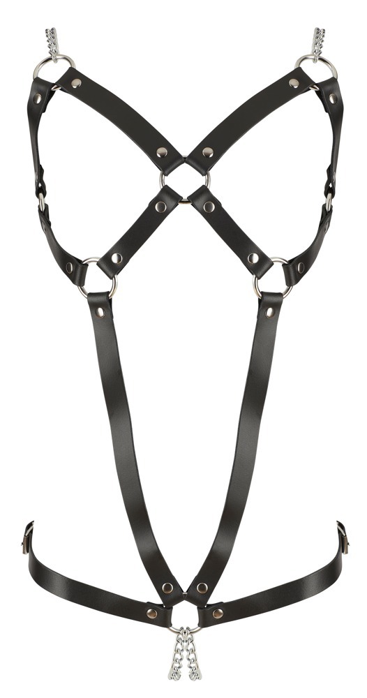 Leather Harness  