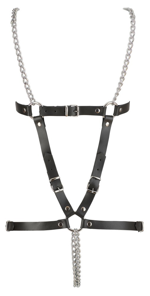 Leather Harness  