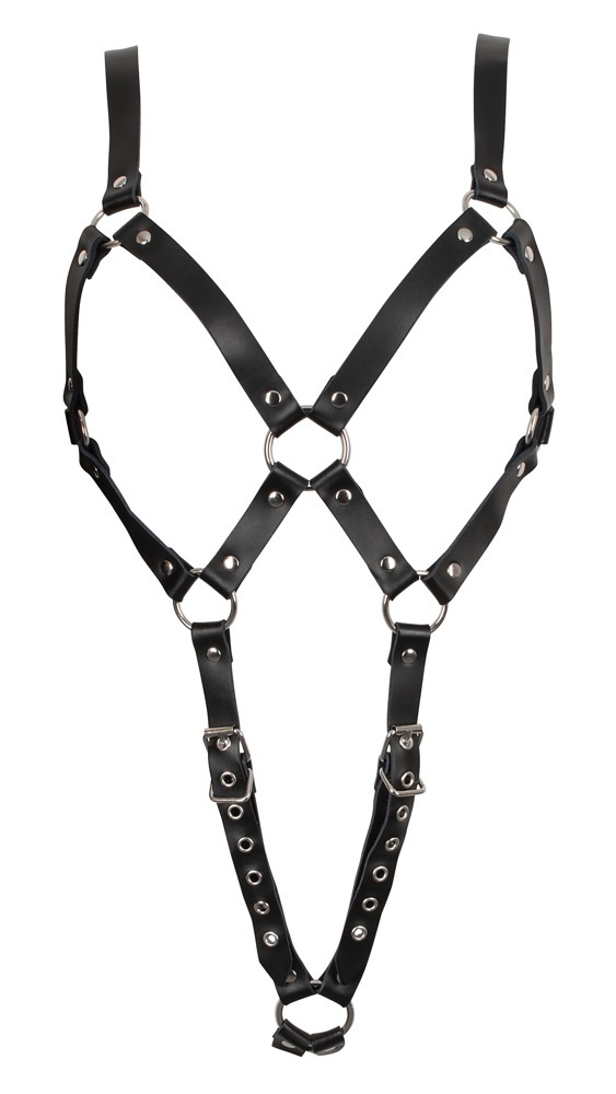 Leather Harness  