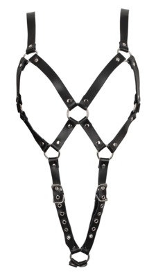 Leather Harness 