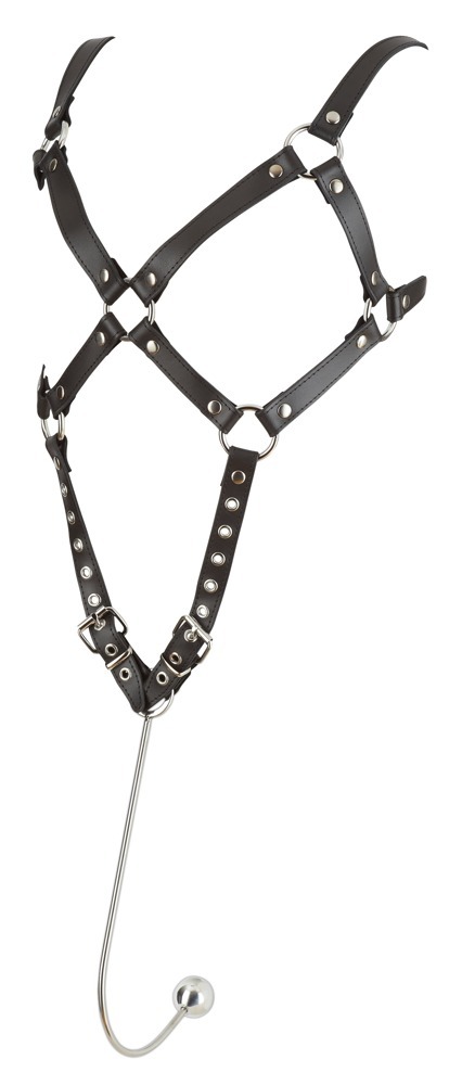 Leather Harness  