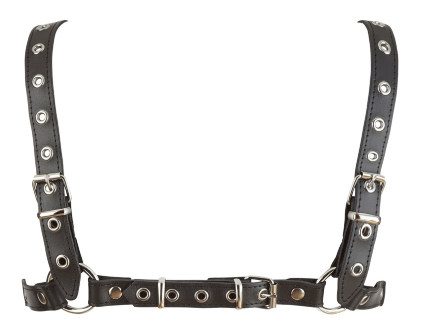 Leather Harness  