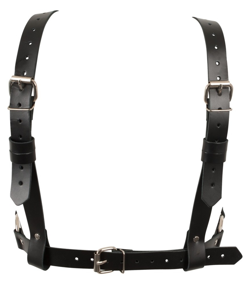 Harness  