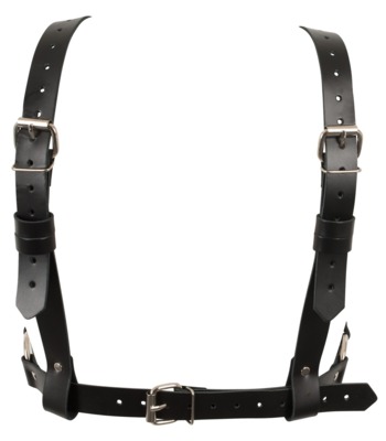 Harness 