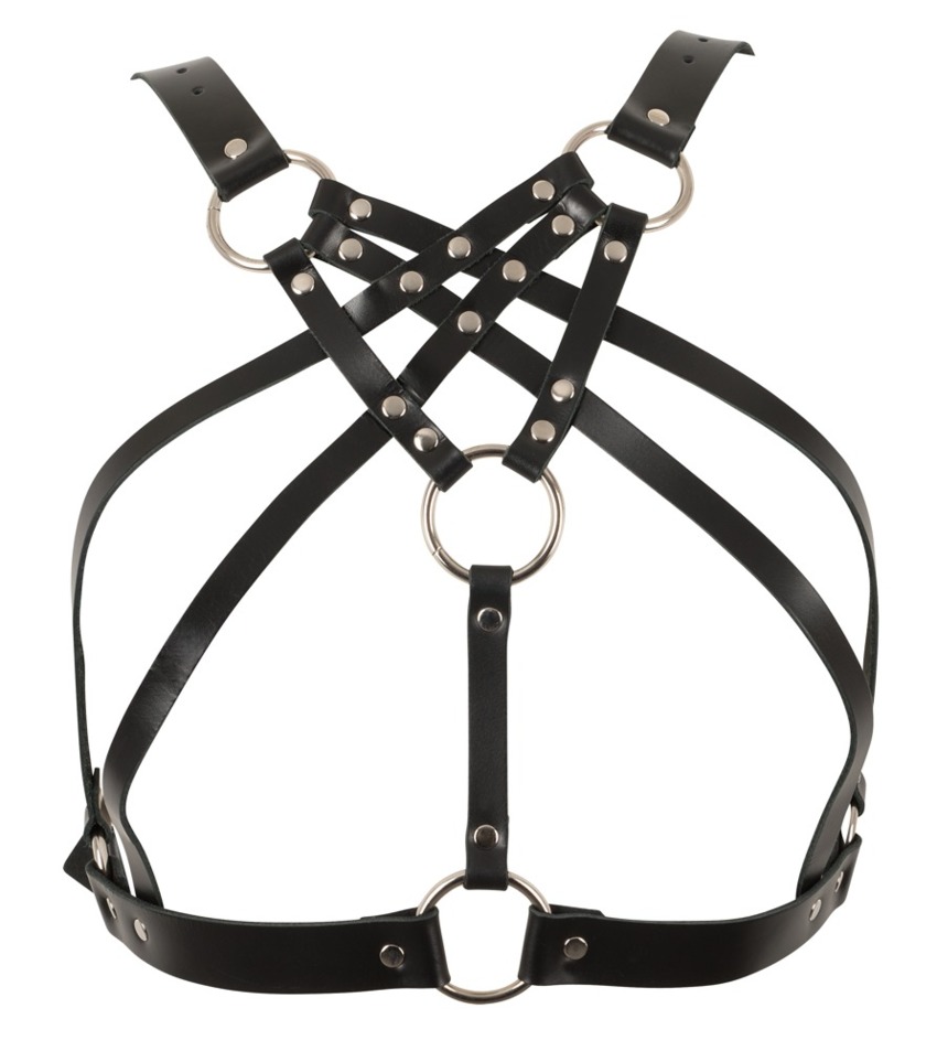 Harness  