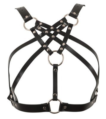 Harness 