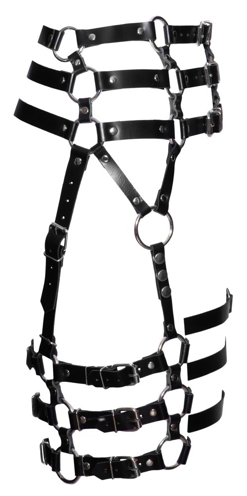 Harness in pelle  