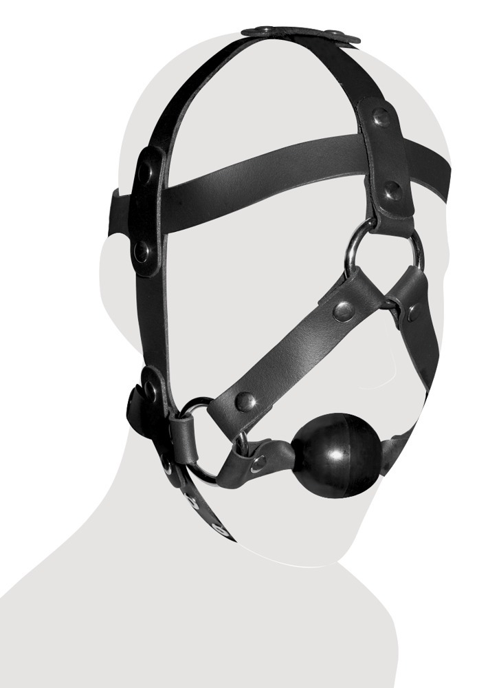 Leather Head Harness  