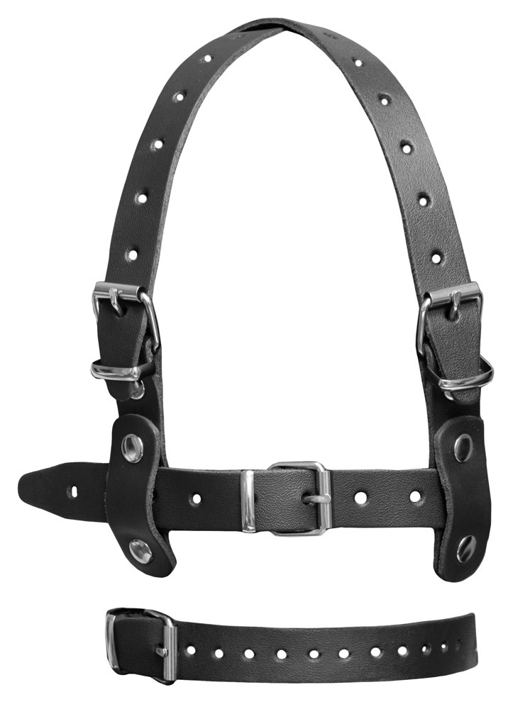 Leather Head Harness  