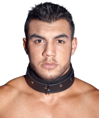 Leather Collar 