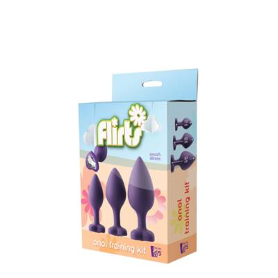 FLIRTS ANAL TRAINING KIT 