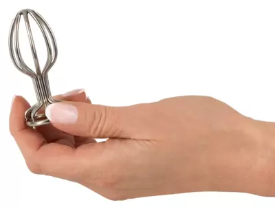 Metal Cage Butt Plug 