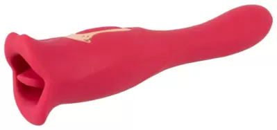 Oral Fun Vibrator 